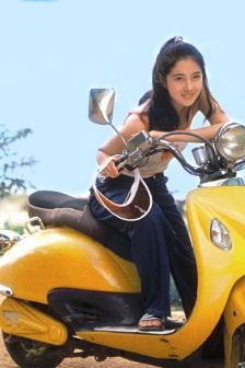 军长的隐婚娇妻